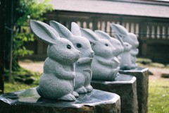 お嫁入り