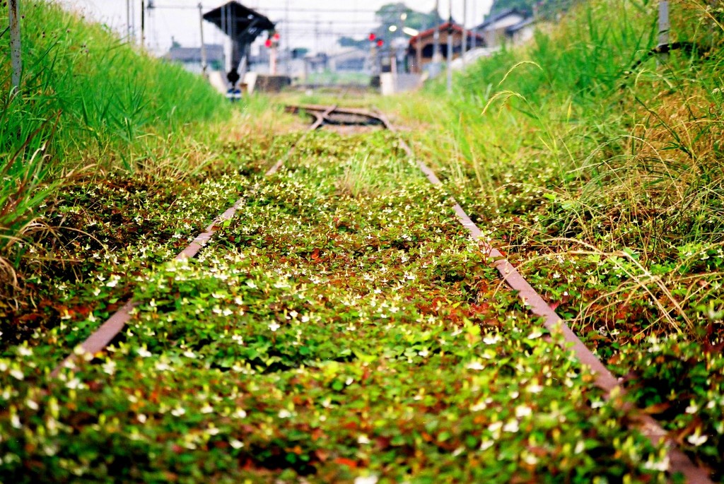 花園