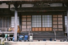 よりあい
