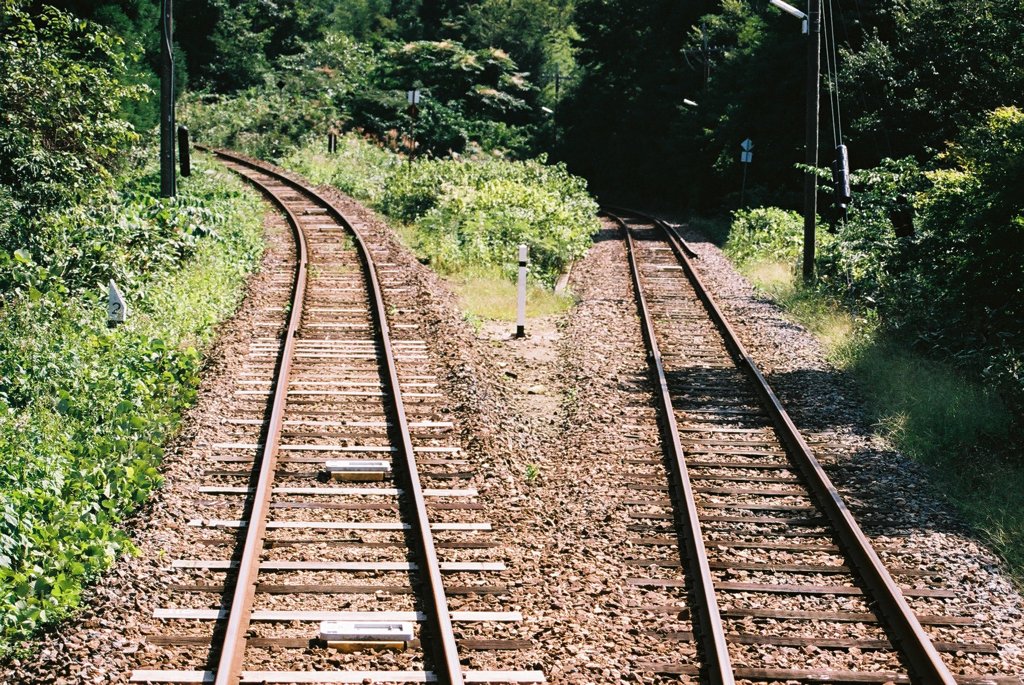 分かれ道