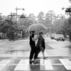 雨に濡れて行かなくっちゃ