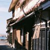 風は南から
