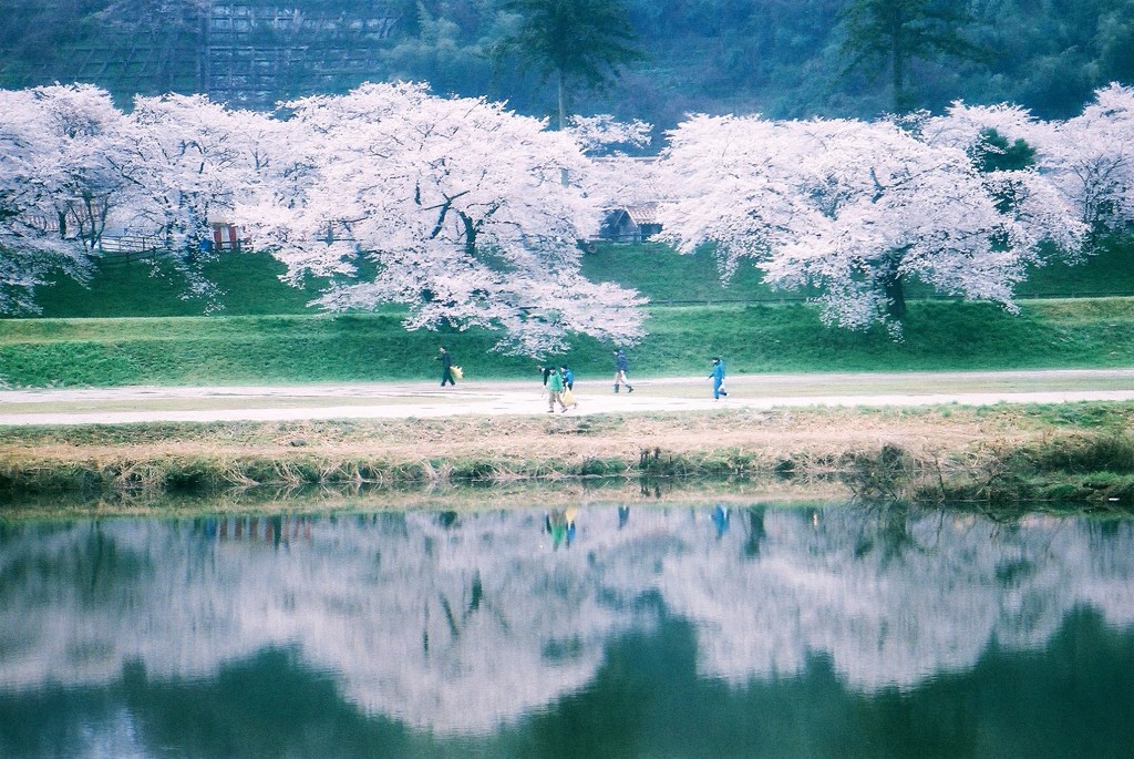 花待月