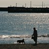 老人と海