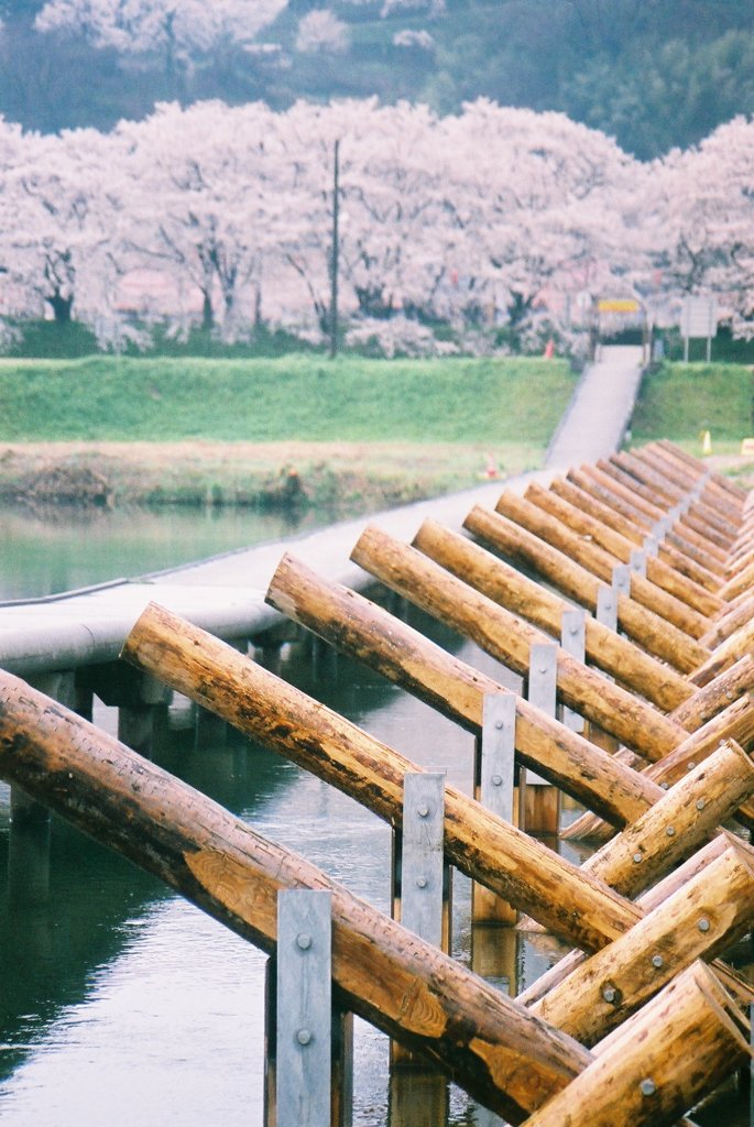 春の小川