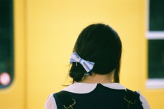 Lonely butterfly