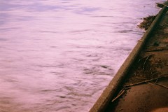 淀みに浮ぶうたかた
