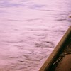 淀みに浮ぶうたかた