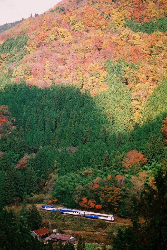 大峡谷鉄道