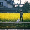 きいろのじかん