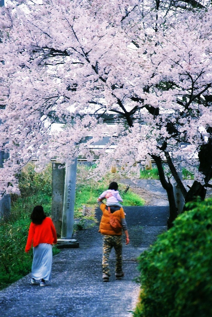 これからの家族