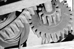Gear