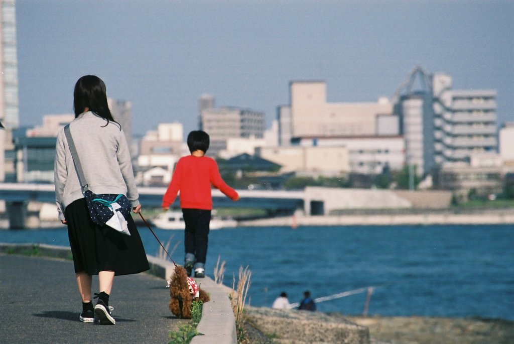 晴れた散歩道では