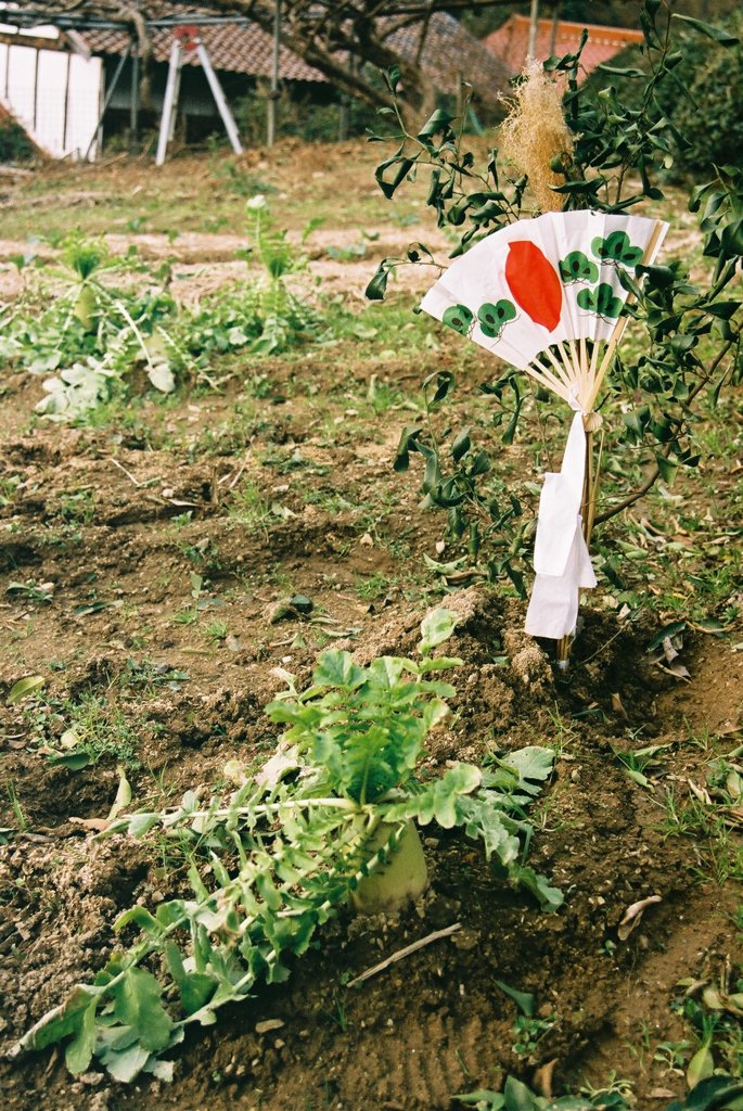 土の神