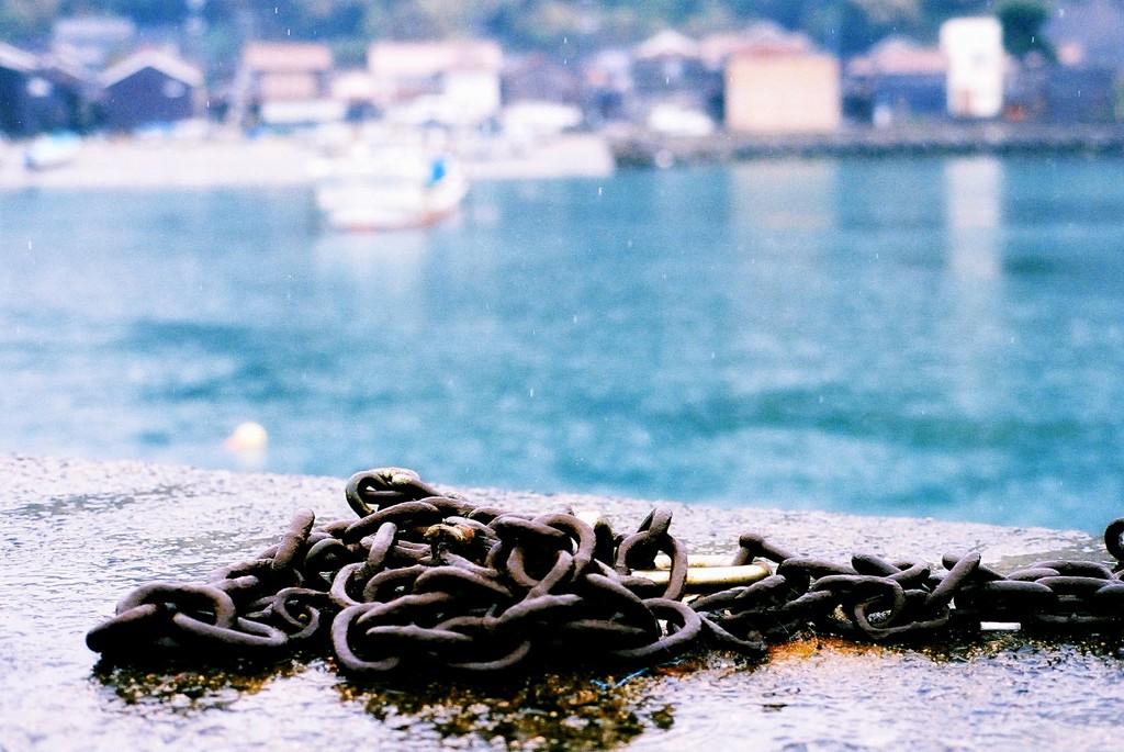 鷺浦は今日も雨だった