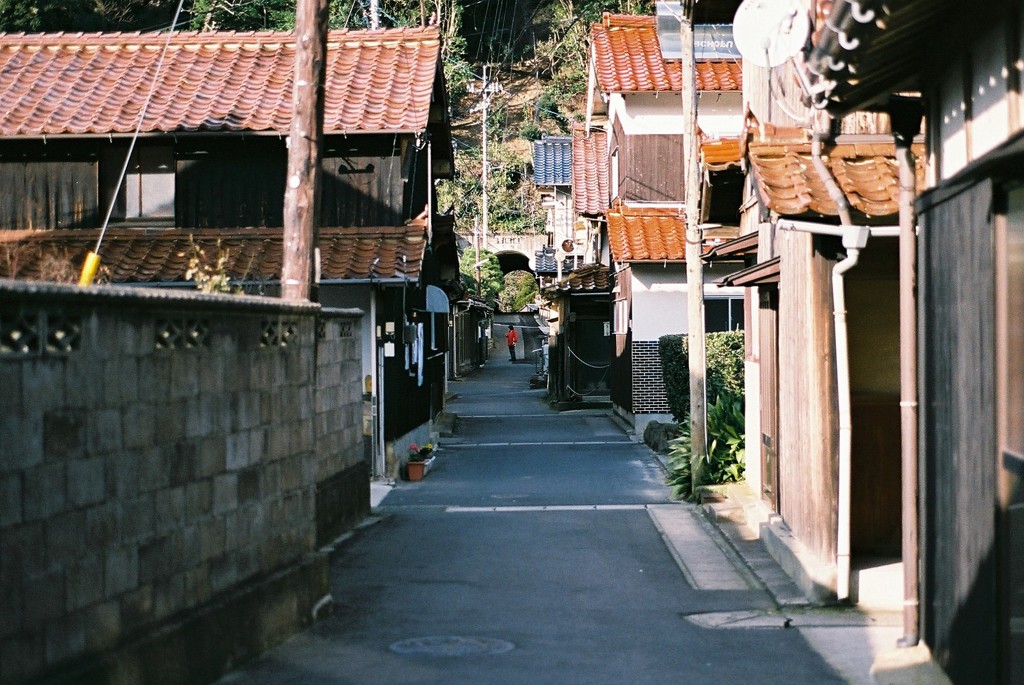 この道のむこうに