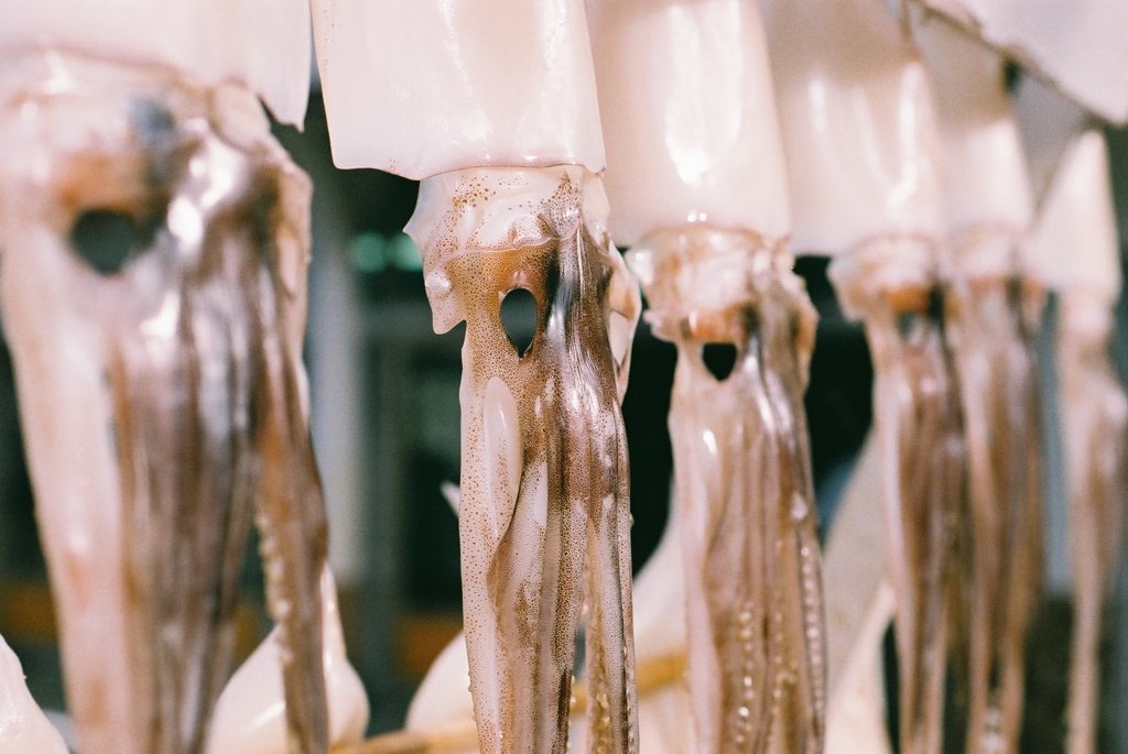 イカカモネ議長