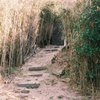 罠にご注意