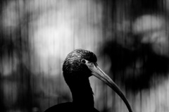 IMG_9191