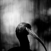 IMG_9191