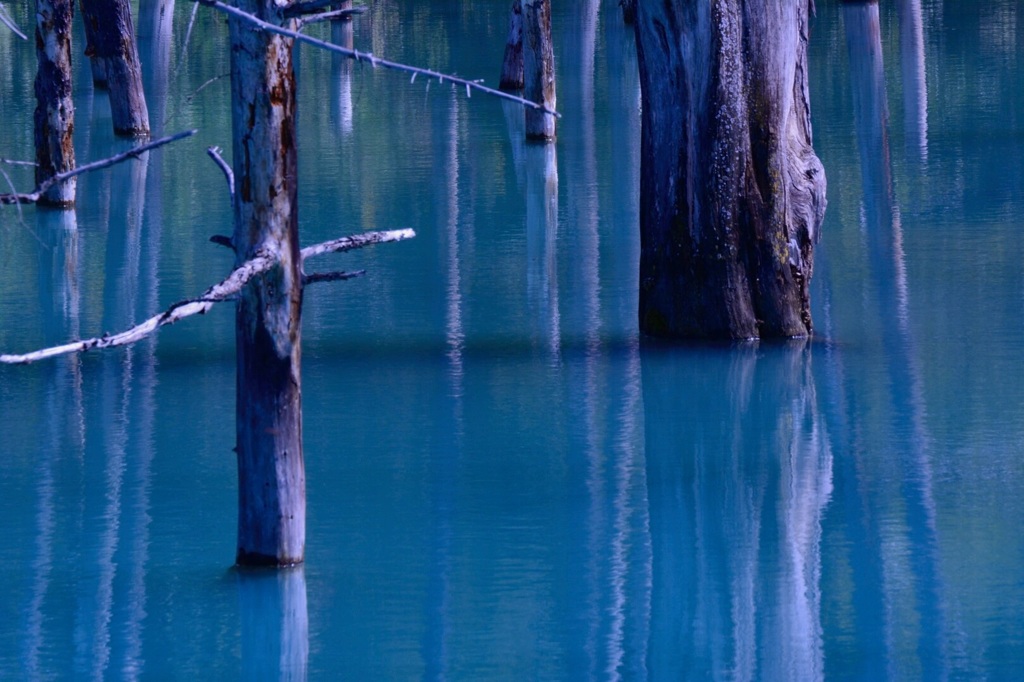 青い池②