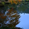 成田山公園②