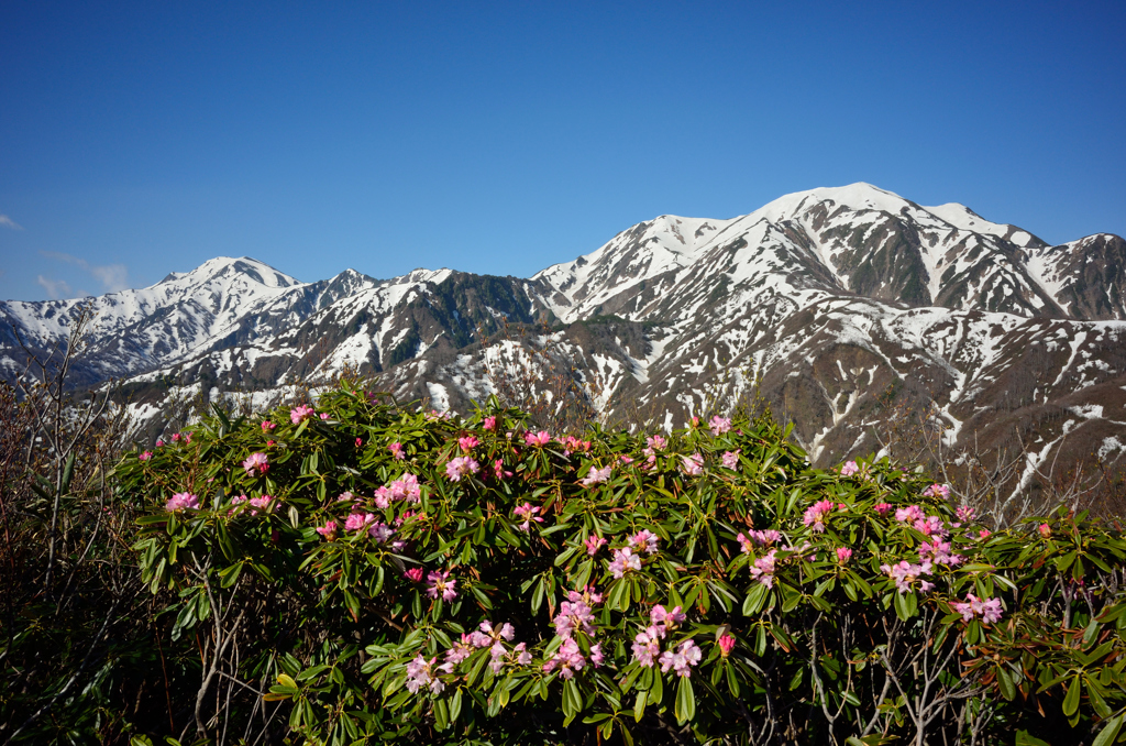 新潟の山
