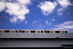 空とゆりかもめ