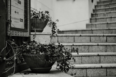 階段