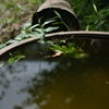 水盆