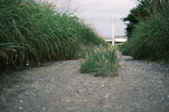 土手道