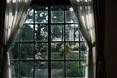 庭を望む 庭を望む