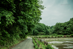 田園にて