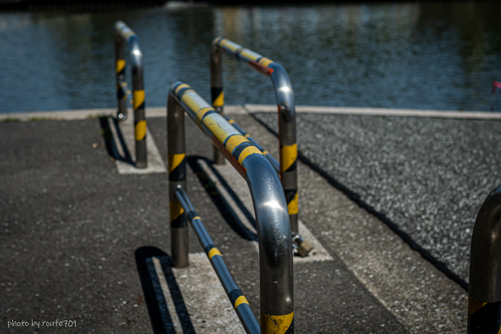 土手の散歩道