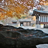 コリア庭園の秋