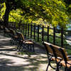 日比谷公園ベンチその２