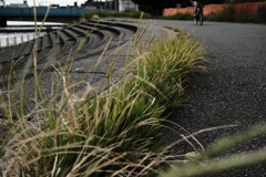 土手道