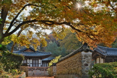 公園の朝