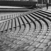 土手の散歩道