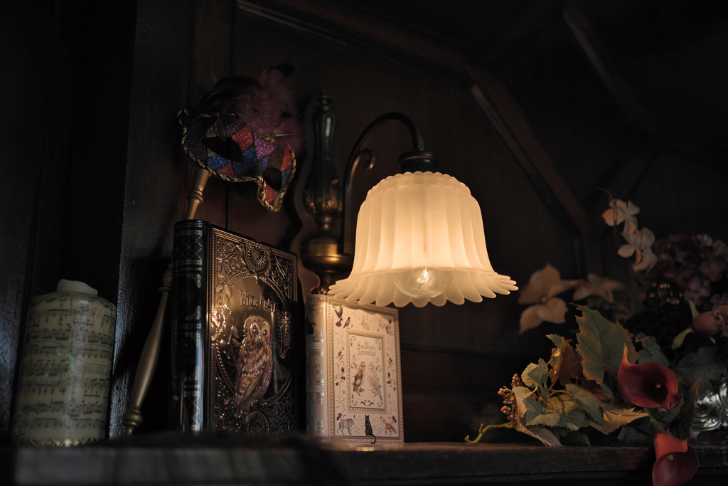 仄かな光の中で