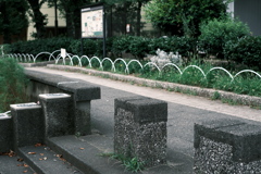 花壇のある歩道