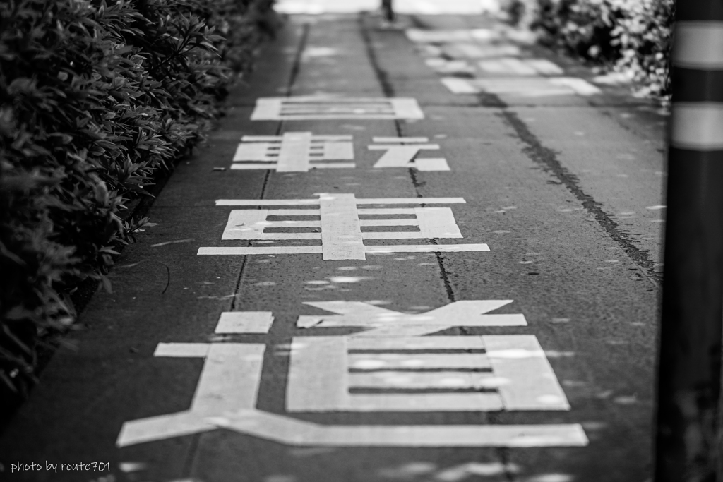 自転車道