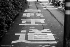 自転車道