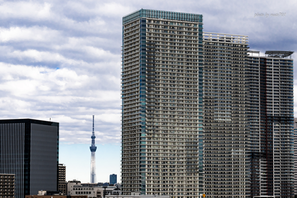 光るスカイツリー