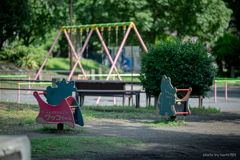 近所の公園にて