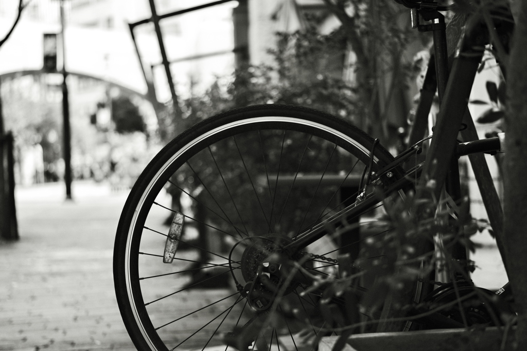 自転車
