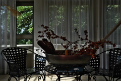 午前の透明な光の中で