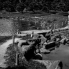 池端にて