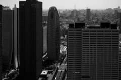 大都会