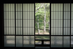 障子戸から覗く庭園
